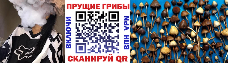 мега вход  Монино  Галлюциногенные грибы Magic Shrooms  где можно купить  